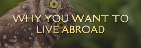 How to Move Abroad Course - Image 2